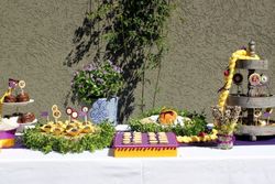 Festa_rapunzela_medium