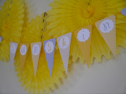 Sunshine_banner_medium