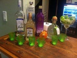 Fiesta_party_housewarming_cactus_shot__500x373__medium