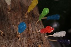 Img_4303_medium