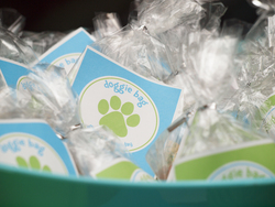 Gavin_pawty_29_medium