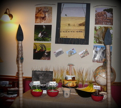 P1060148_medium