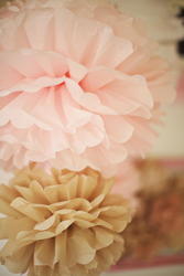 Princess_party_ah_tissue_pom_poms_photo_by_alyce_holzberger_medium