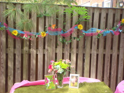 Dsc04657_medium