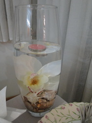 Dsc02001_medium