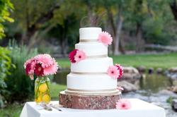 Cakeprofesh_medium