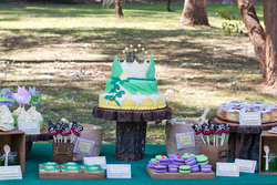 Theme_my_party_13_medium