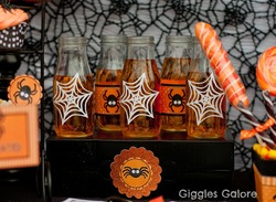 Spider_drinks_medium