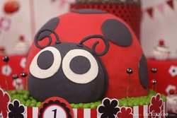 Bx2_ladybug_red_-_18_medium