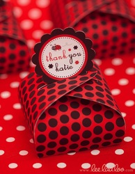 Bx2_ladybug_red_-_72_medium