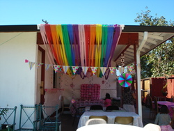 Dsc04610_medium