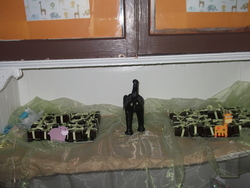 Dscf1245_medium