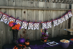 Img_2863_medium