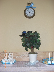 Cimg2518_medium