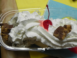 Dscn0592_medium