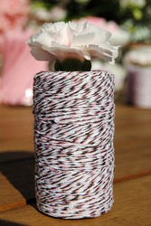 Pigpartytwine_medium