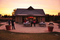 20121027_341_medium