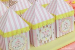 Bx18_vintage_pink_circus_-_12_medium