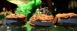 Football_party_224_medium