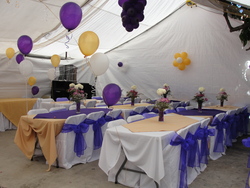 Dsc05466_medium