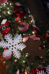 Img_3550_medium