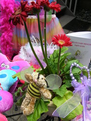 Tutufairy8_medium