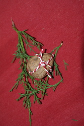 Dsc07785_medium