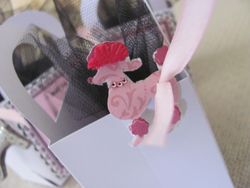 Img_0325_medium