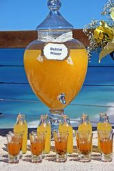Champagne_12_medium