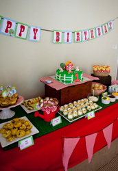 Farmyard_party_austin_01_medium