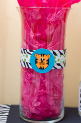 Catie3-37_medium