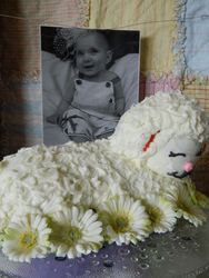 Dscn6978_medium