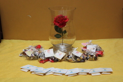 Img_5127_medium
