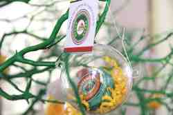 Img_8026__final___reduced__medium