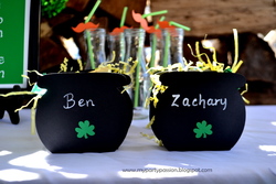 Dsc_0087_medium