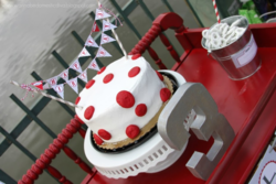 Cake_2_medium
