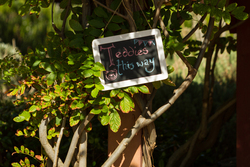 Topthecupcake_teddybearpicnic-12_medium