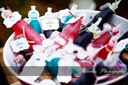Cardasphotography6_medium