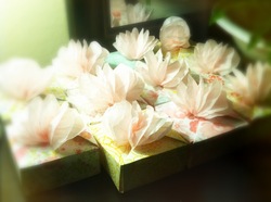 654_medium