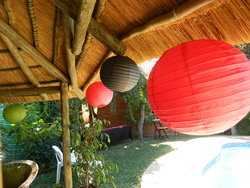 Dscn0317_medium