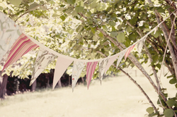 Lily_chic_gumnuts-38_medium