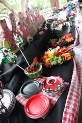Img_0293_-_copy_medium