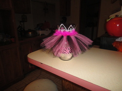 Dsc07025_medium
