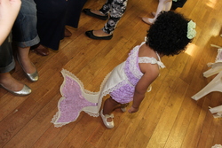 Img_0076_medium