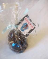 Img_5804_copy_medium