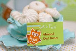 Woodland_owl_boys_first_birthday_dessert_table_-_almond_meringues_medium