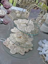 Img_8260_copy_medium