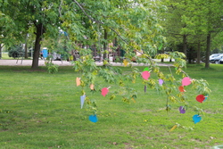 Img_8660_medium