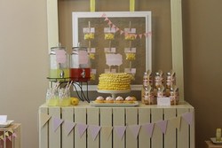 Img_2380__copy__medium