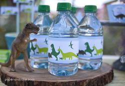 Dino_water_medium
